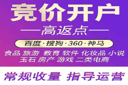 谷歌SEM与移动端优化：某APP的推广策略及效果
